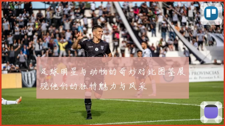 足球明星与动物的奇妙对比图鉴展现他们的独特魅力与风采