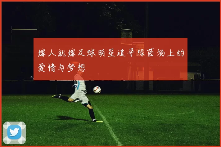 嫁人就嫁足球明星追寻绿茵场上的爱情与梦想