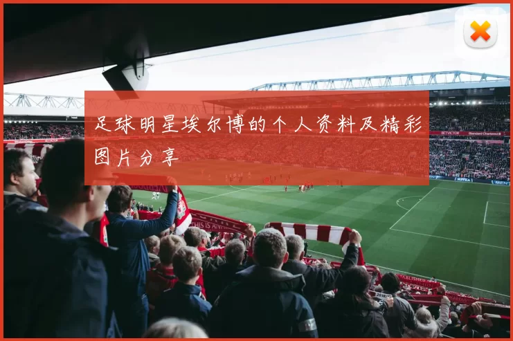 足球明星埃尔博的个人资料及精彩图片分享