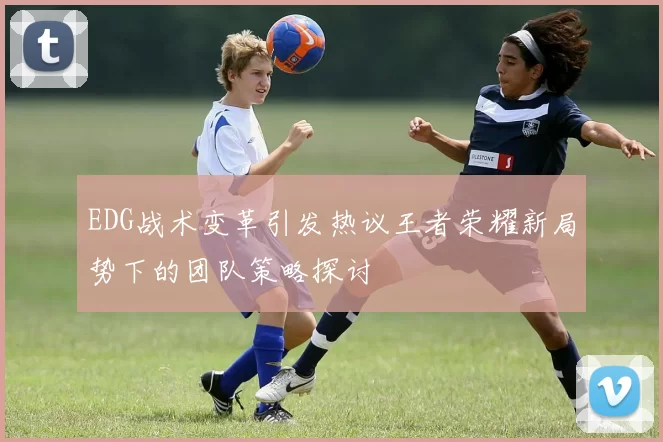 EDG战术变革引发热议王者荣耀新局势下的团队策略探讨
