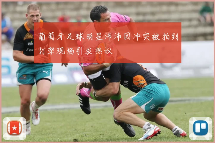 葡萄牙足球明星沛沛因冲突被拍到打架现场引发热议