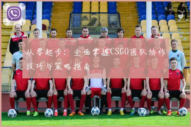从零起步：全面掌握CSGO团队协作技巧与策略指南