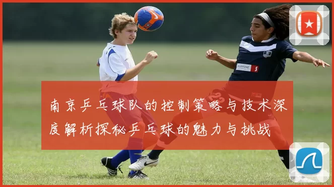 南京乒乓球队的控制策略与技术深度解析探秘乒乓球的魅力与挑战