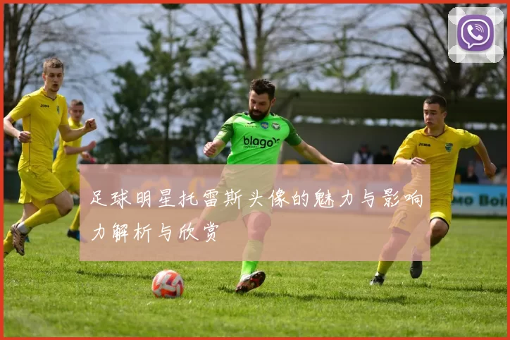 足球明星托雷斯头像的魅力与影响力解析与欣赏