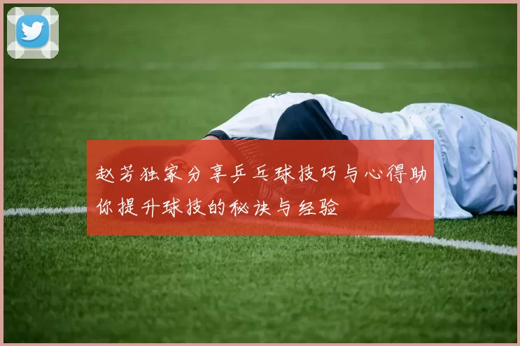 赵芳独家分享乒乓球技巧与心得助你提升球技的秘诀与经验