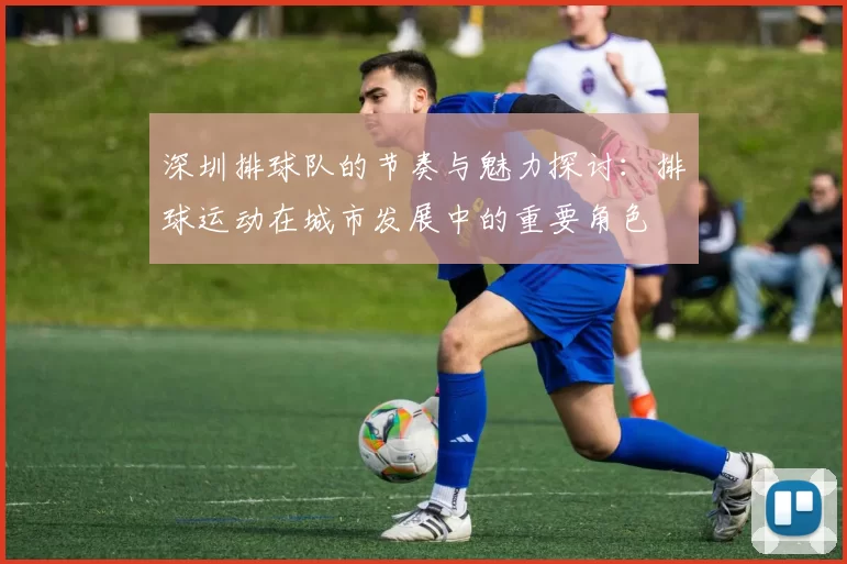 深圳排球队的节奏与魅力探讨：排球运动在城市发展中的重要角色