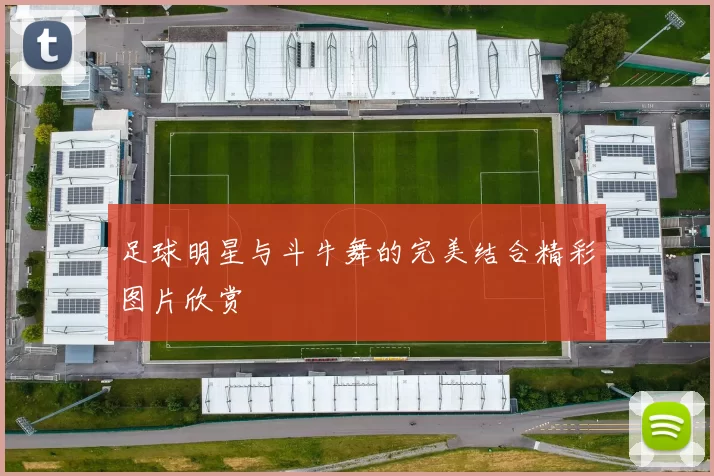 足球明星与斗牛舞的完美结合精彩图片欣赏
