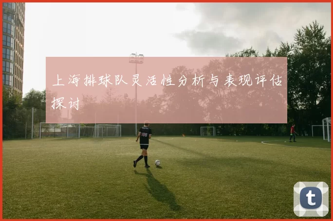 上海排球队灵活性分析与表现评估探讨