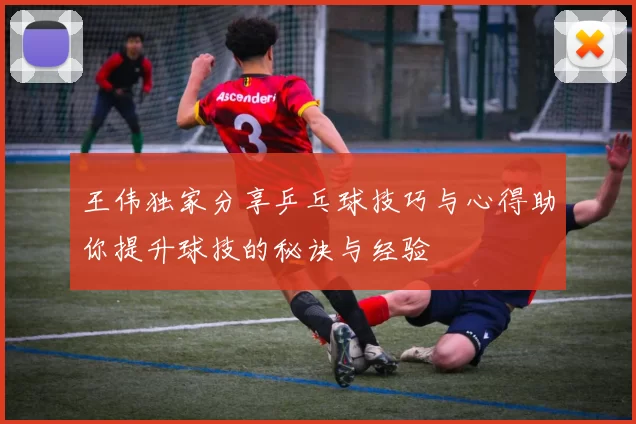 王伟独家分享乒乓球技巧与心得助你提升球技的秘诀与经验