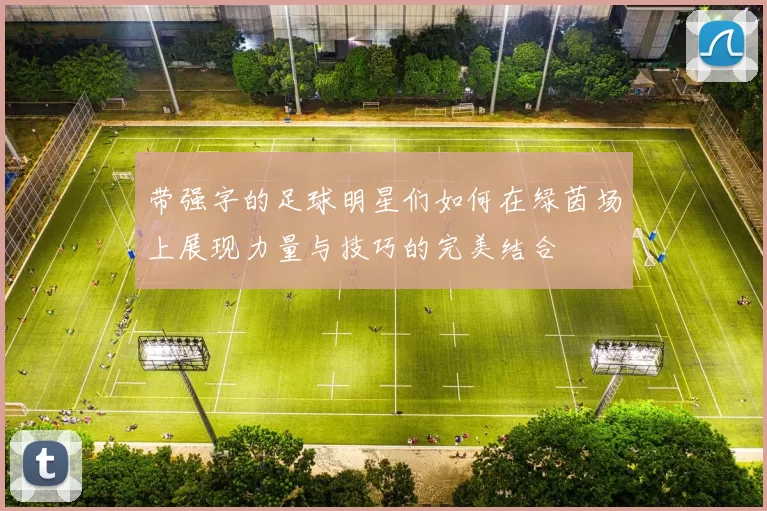 带强字的足球明星们如何在绿茵场上展现力量与技巧的完美结合
