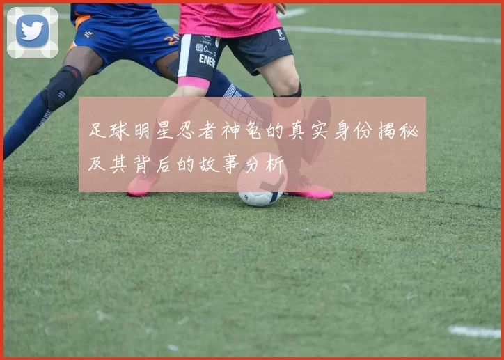 足球明星忍者神龟的真实身份揭秘及其背后的故事分析