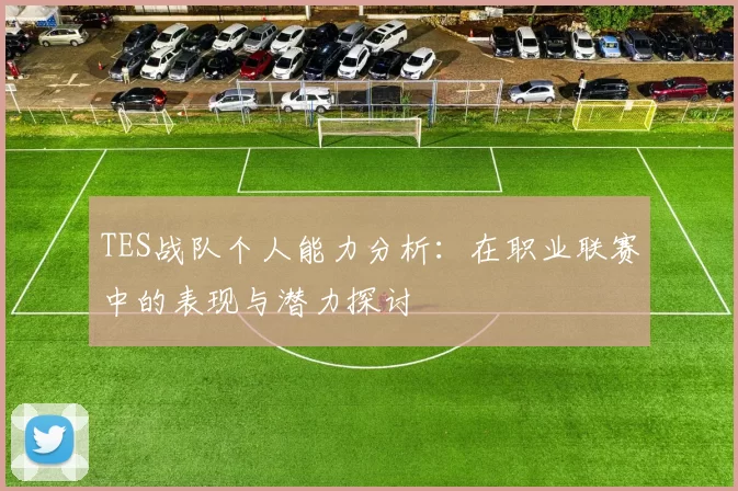 TES战队个人能力分析：在职业联赛中的表现与潜力探讨