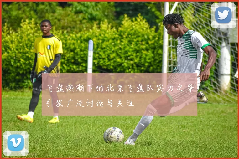 飞盘热潮下的北京飞盘队实力之争引发广泛讨论与关注