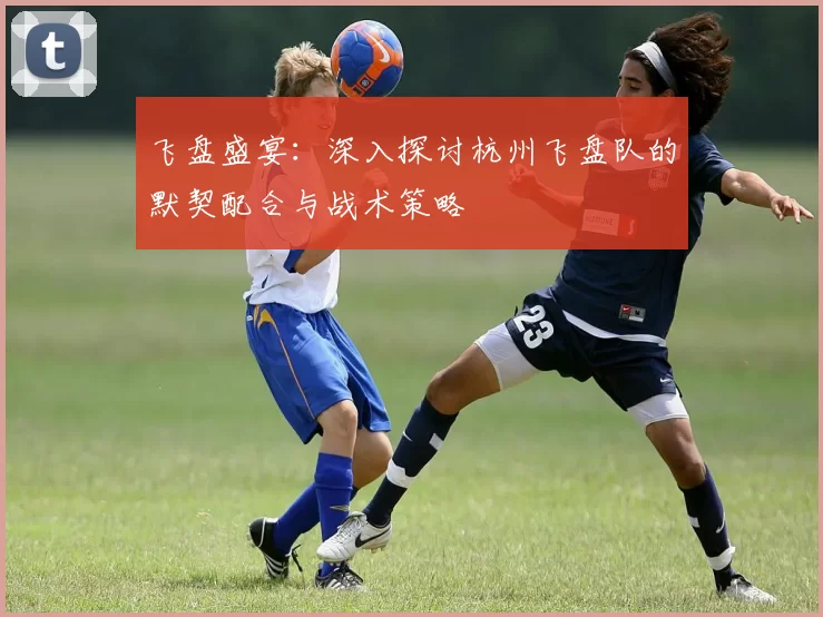 飞盘盛宴：深入探讨杭州飞盘队的默契配合与战术策略