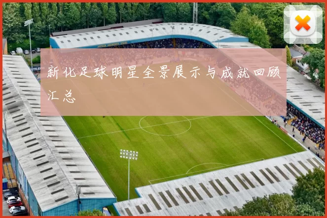 新化足球明星全景展示与成就回顾汇总