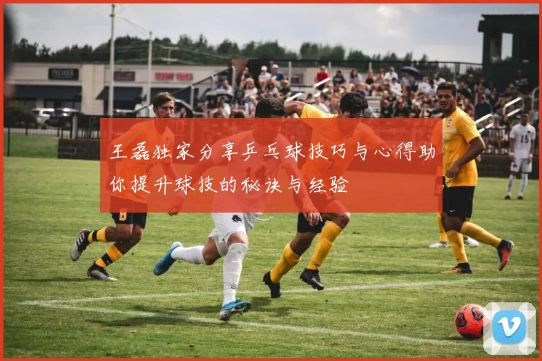 王磊独家分享乒乓球技巧与心得助你提升球技的秘诀与经验