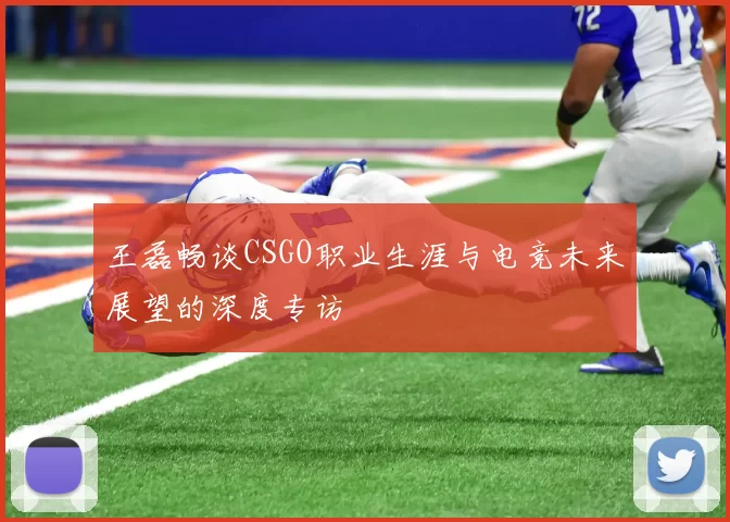 王磊畅谈CSGO职业生涯与电竞未来展望的深度专访