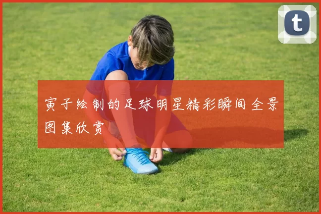 寅子绘制的足球明星精彩瞬间全景图集欣赏
