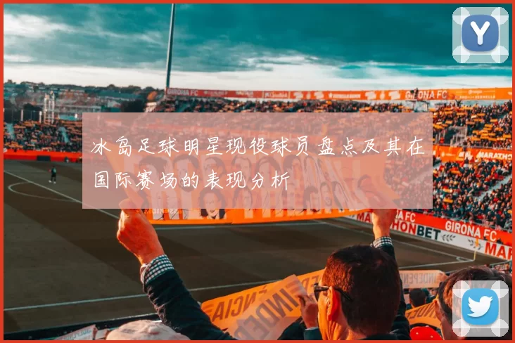 冰岛足球明星现役球员盘点及其在国际赛场的表现分析