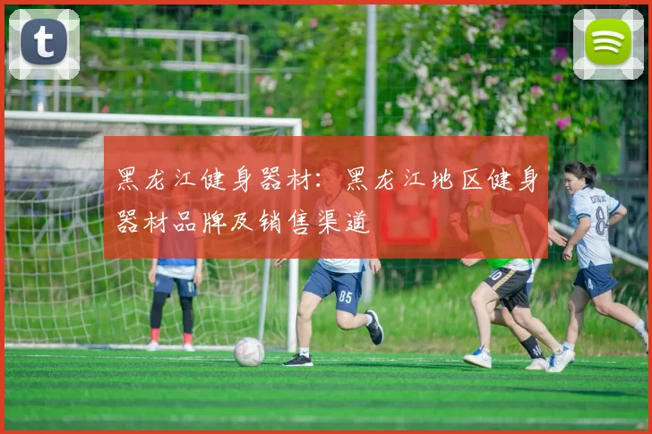 黑龙江健身器材：黑龙江地区健身器材品牌及销售渠道