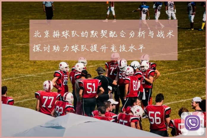 北京排球队的默契配合分析与战术探讨助力球队提升竞技水平