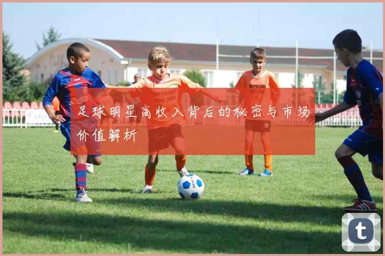 足球明星高收入背后的秘密与市场价值解析