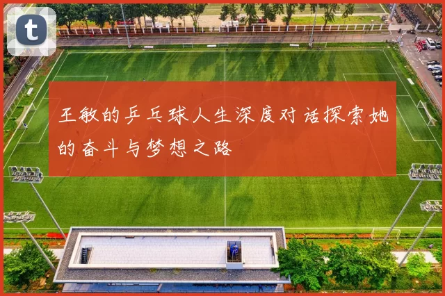 王敏的乒乓球人生深度对话探索她的奋斗与梦想之路