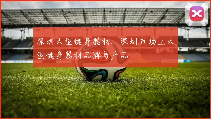 深圳大型健身器材：深圳市场上大型健身器材品牌与产品