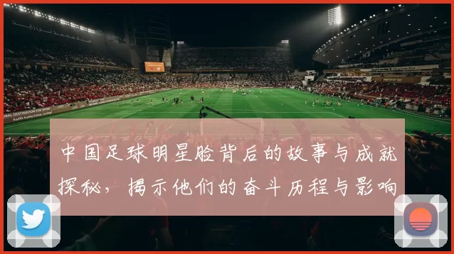 中国足球明星脸背后的故事与成就探秘，揭示他们的奋斗历程与影响力